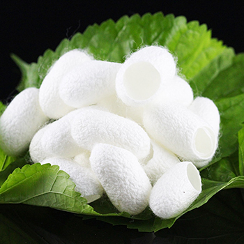 Prot&eacute;ine De Soie