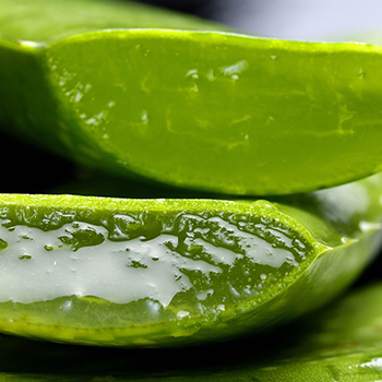 Gel douche arganicare 