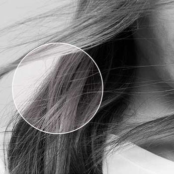 K&eacute;rastase Genesis Facteurs Externes