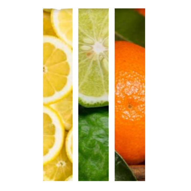 Shampooing Sec Fresh Affair Kerastase 150g