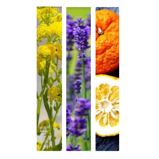 Shampooing sec Fresh Affair Kerastase 150g