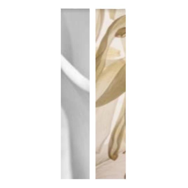 Shampooing Sec Fresh Affair Kerastase 150g