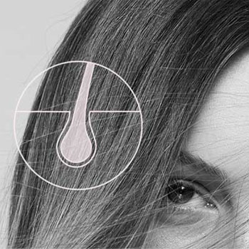 K&eacute;rastase Genesis Facteurs Biologiques