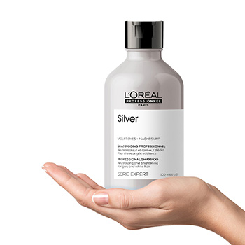 L'Or&eacute;al silver 