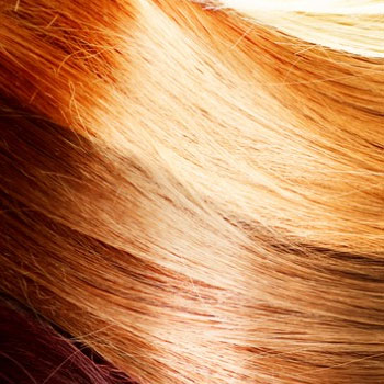 L'Or&eacute;al Professionnel Vitamino Color