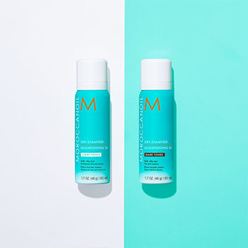 shampooing sec moroccanoil dark tones 65ml