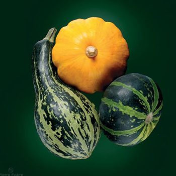 Curbicia-Ren&eacute;-Furterer-Shampooing-150ml