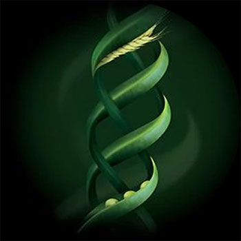 K&eacute;ratine V&eacute;g&eacute;tale Absolue K&eacute;ratine Ren&eacute; Furterer