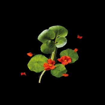 Biotrinine Ren&eacute; Furterer