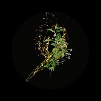 Extrait de Pfaffia Ren&eacute; Furterer