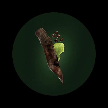 Shampooing Volumea Ren&eacute; Furterer