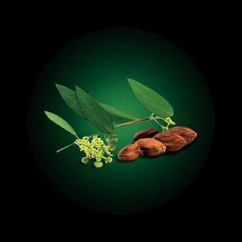 Extrait de Jojoba René Furterer