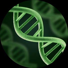 Filtre UV Ren&eacute; Furterer