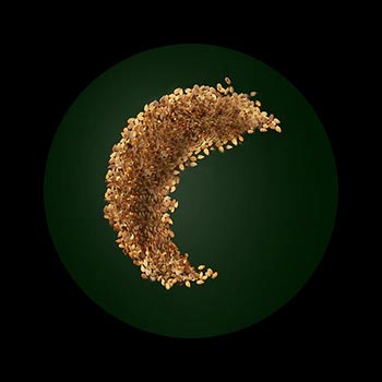 Extrait de S&eacute;same Ren&eacute; Furterer