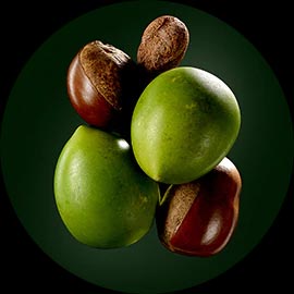 Extrait de Karit&eacute; Ren&eacute; Furterer