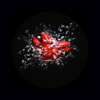 Extrait de Guarana Ren&eacute; Furterer