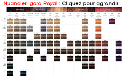 Nuancier Igora Royal Absolutes