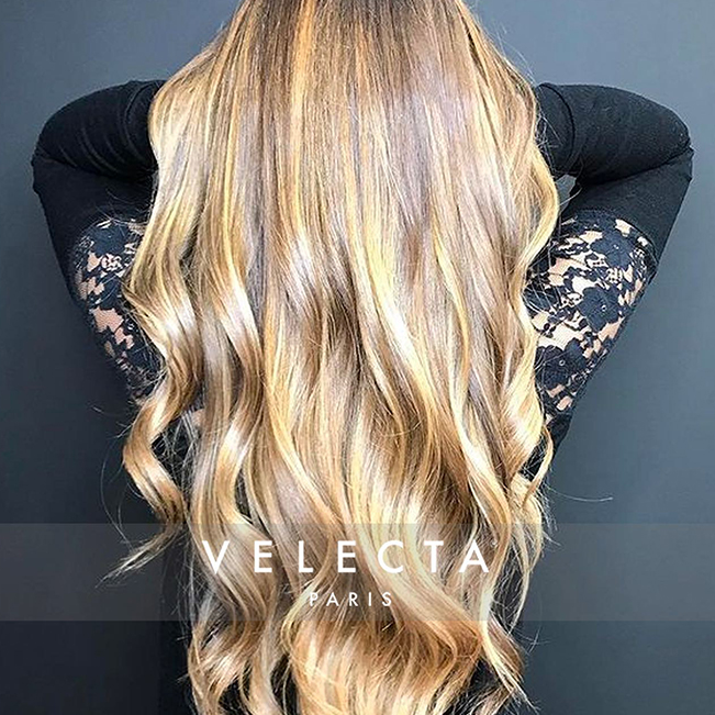 Velecta Velecta