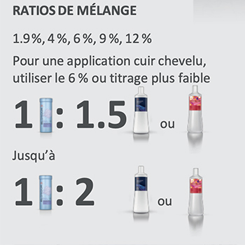 Ratio melange-Poudre Blondor