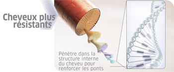 WellaPlex Color Motion+ Wella Professionals