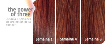 R&eacute;sultats Color Motion + Wella Professionals